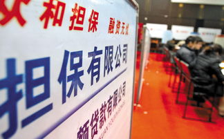 诉讼保全担保业务与非融资性担保的深度解析