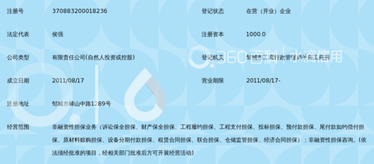 邹城市润通非融资性担保及其业务解析